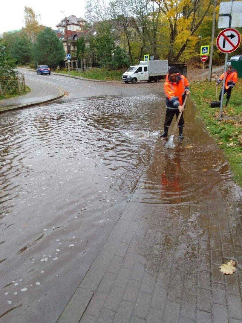 В Светлогорске поваленные ветром деревья погромили заборы и линии электропередач В Светлогорске поваленные ветром деревья погромили заборы и линии электропередач