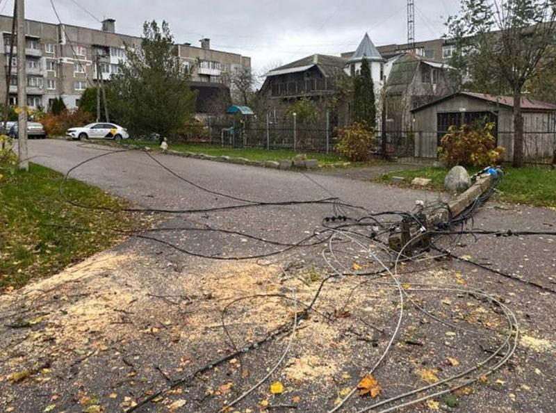 В Светлогорске падающее дерево завалило бетонный столб