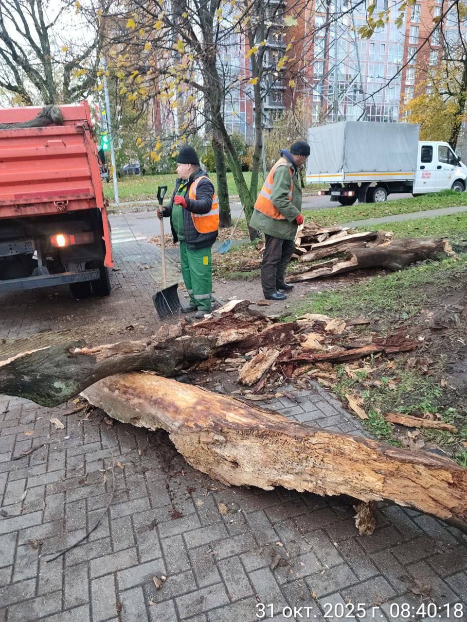 В Калининграде продолжают устранять подтопления и пилить деревья, режим повышенной готовности сохранится до вечера В Калининграде продолжают устранять подтопления и пилить деревья, режим повышенной готовности сохранится до вечера
