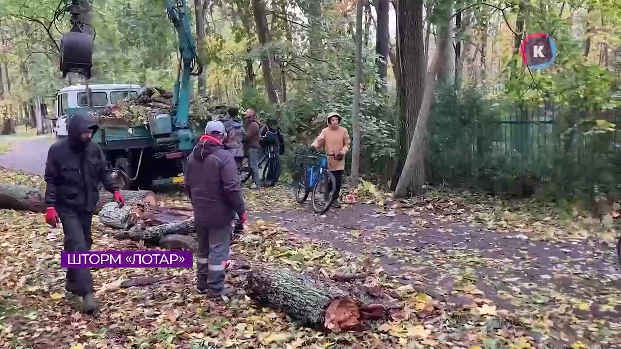 Шторм «Лотар» этой ночью буйствовал в Калининграде