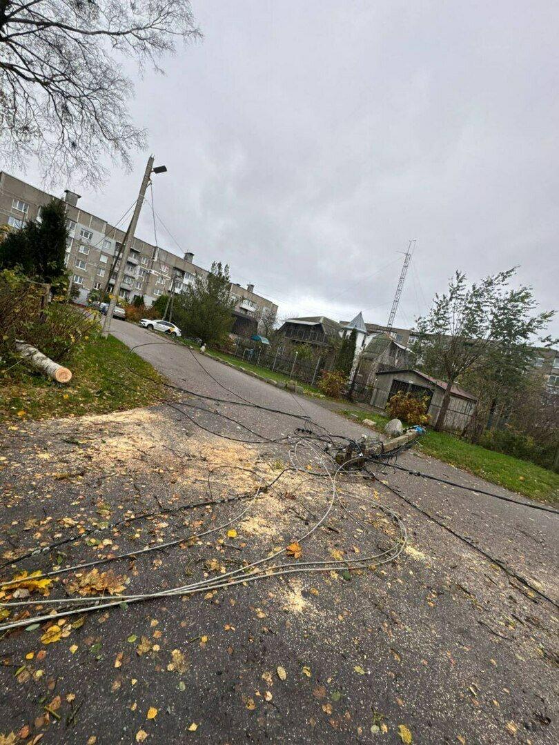 В Светлогорске поваленные ветром деревья погромили заборы и линии электропередач В Светлогорске поваленные ветром деревья погромили заборы и линии электропередач