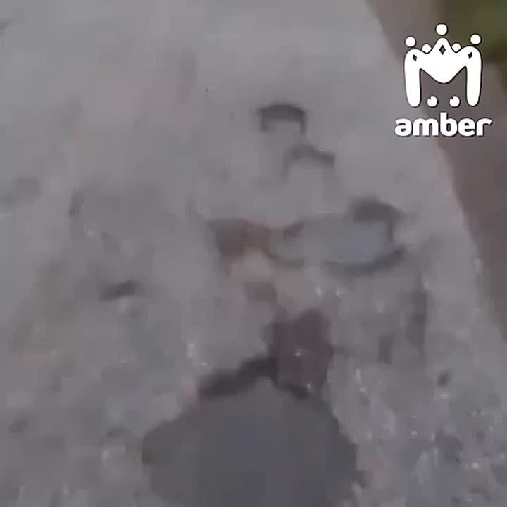 Живодёр из Павлинина утверждает, что тащил собаку за машиной на скорости всего 7 км/ч