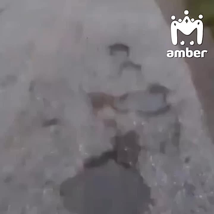 Живодёр из Павлинина утверждает, что тащил собаку за машиной на скорости всего 7 км/ч