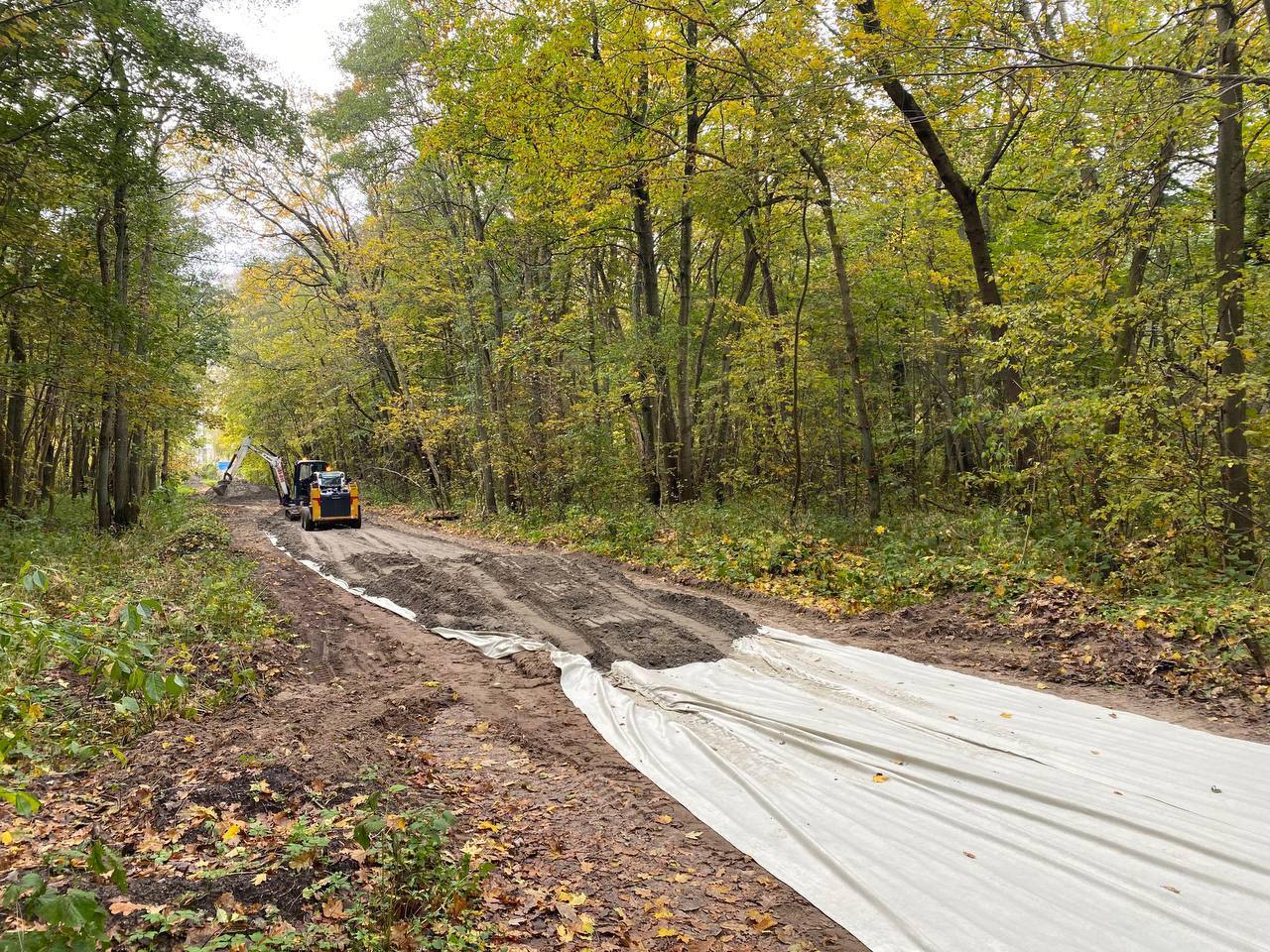 Директор «Куршской косы» рассказал, как в нацпарке строят велодорожку после визита оперативников Директор «Куршской косы» рассказал, как в нацпарке строят велодорожку после визита оперативников