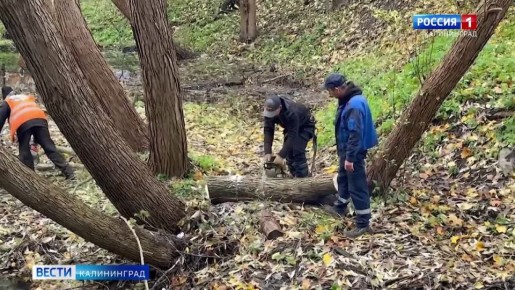 Калининградская область сегодня переживала последствия ночного шторма