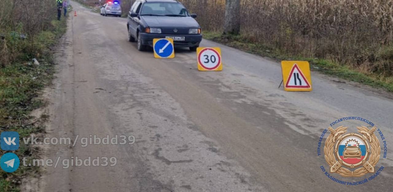 Гурьевский район. 30.10.2025 в 07:00, в районе дома 1 по ул. Любимой пос