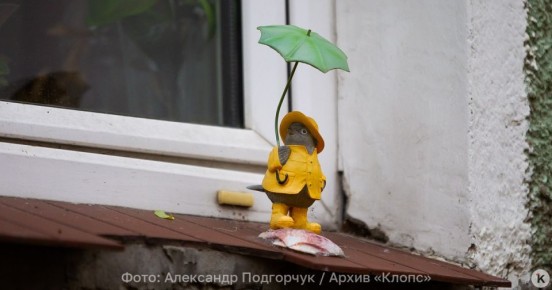 Синоптики рассказали, брать ли зонт в субботу, 1 ноября