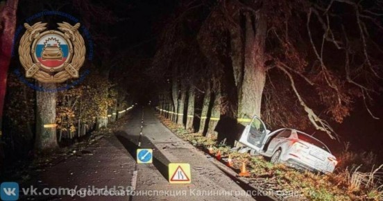 Под Багратионовском водитель легковушки врезался в придорожное дерево