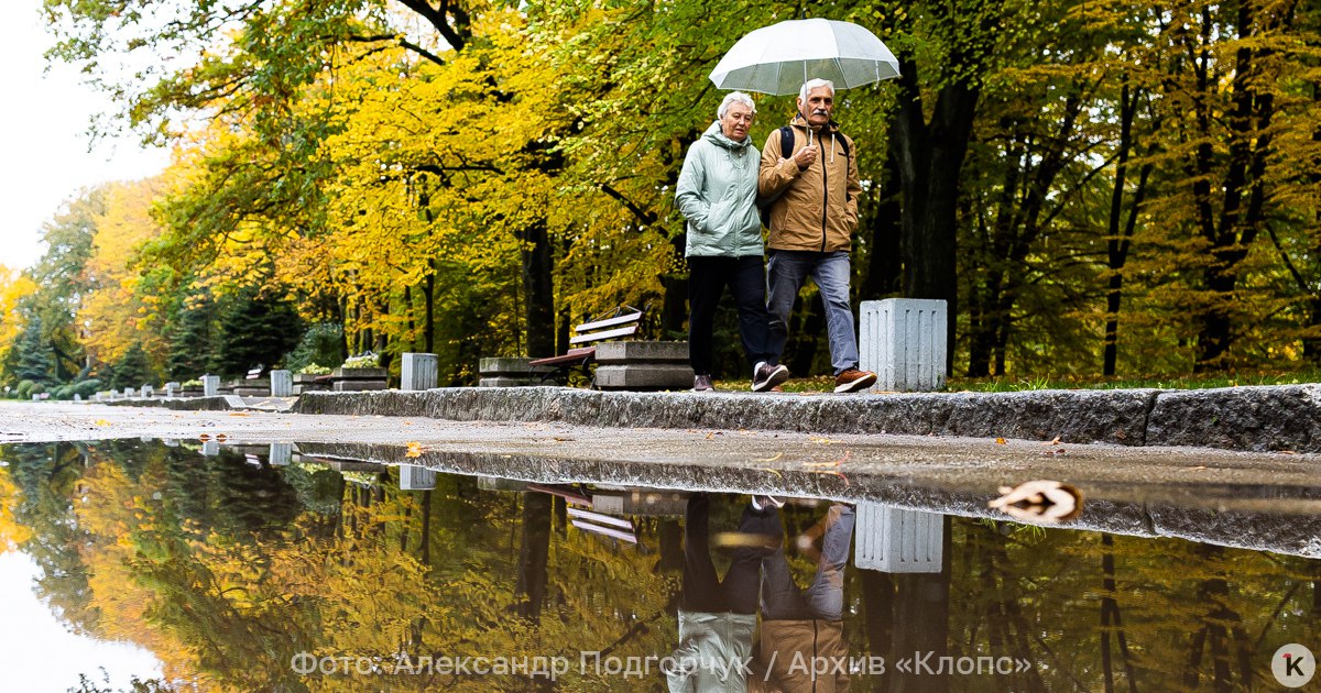 Синоптики рассказали, будет ли дождь в Калининграде и области в понедельник, 3 ноября