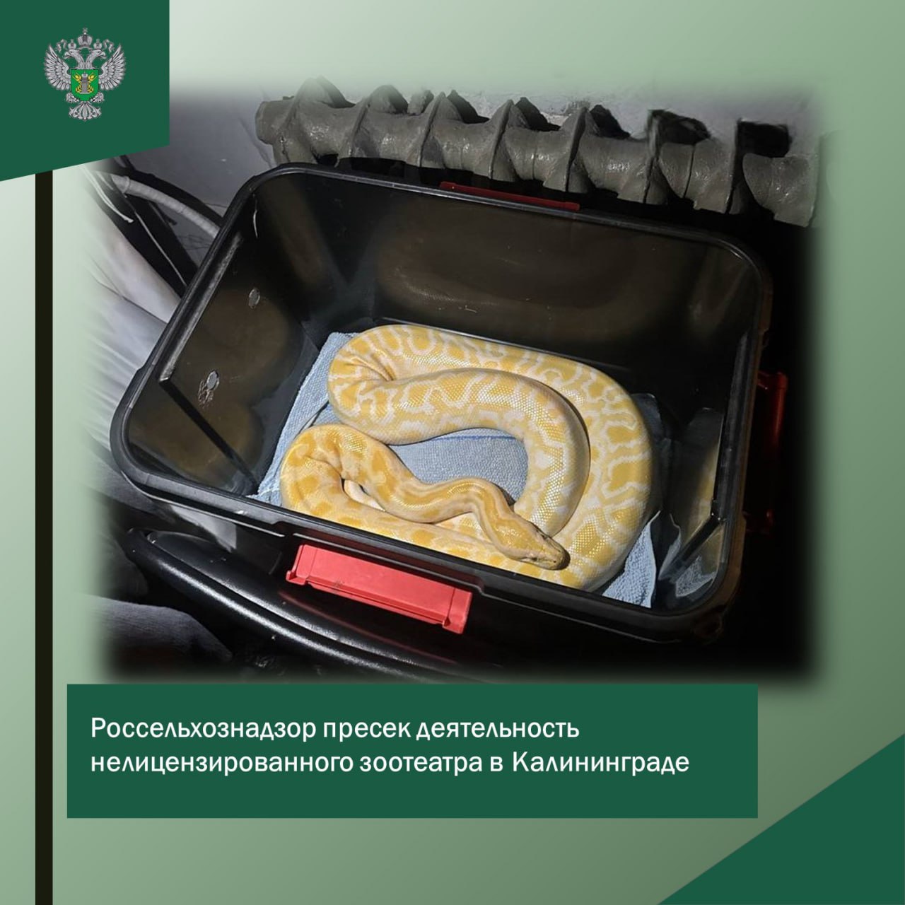 Россельхознадзор пресек деятельность нелицензированного зоотеатра в Калининграде