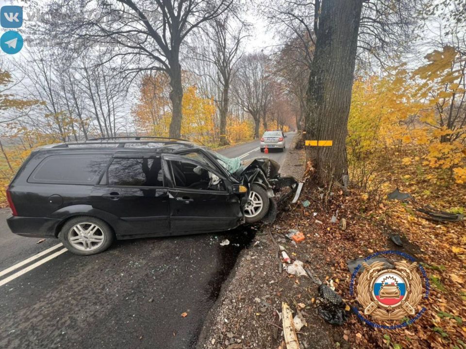 По оперативной информации, сегодня,02.11.2025 в районе 13 часов 20 минут на автодороге «Пятидорожное - Новоселово» Багратионовского района, водитель автомобиля «Форд» на правостороннем закруглении дороги допустила наезд на...