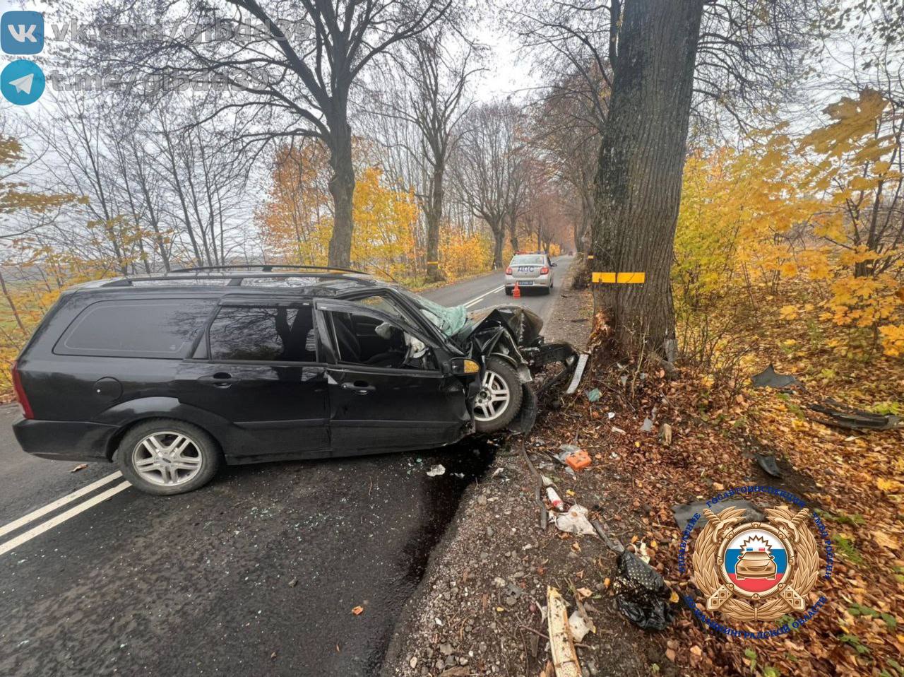 По оперативной информации, сегодня,02.11.2025 в районе 13 часов 20 минут на автодороге «Пятидорожное - Новоселово» Багратионовского района, водитель автомобиля «Форд» на правостороннем закруглении дороги допустила наезд на...