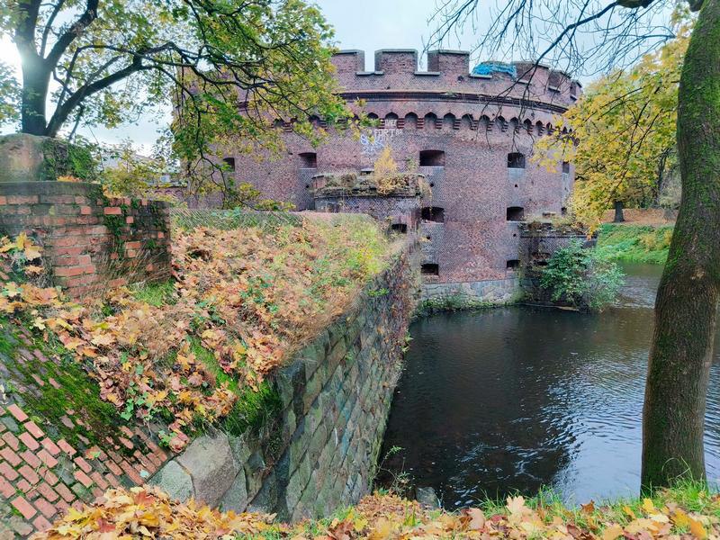 Первая неделя ноября в Калининградской области будет полусухой