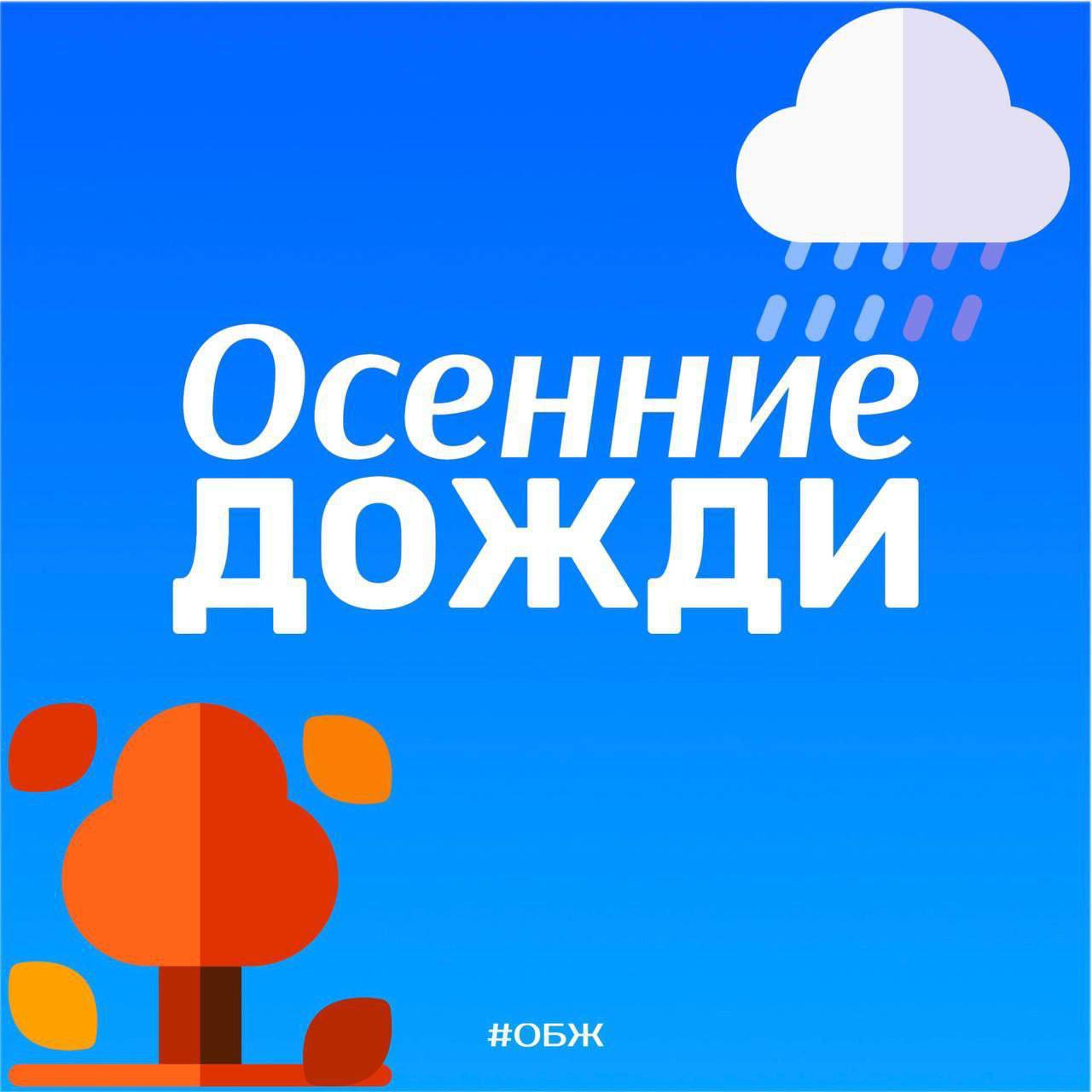 Дождь!. Дождь осенью - явление вполне себе обычное