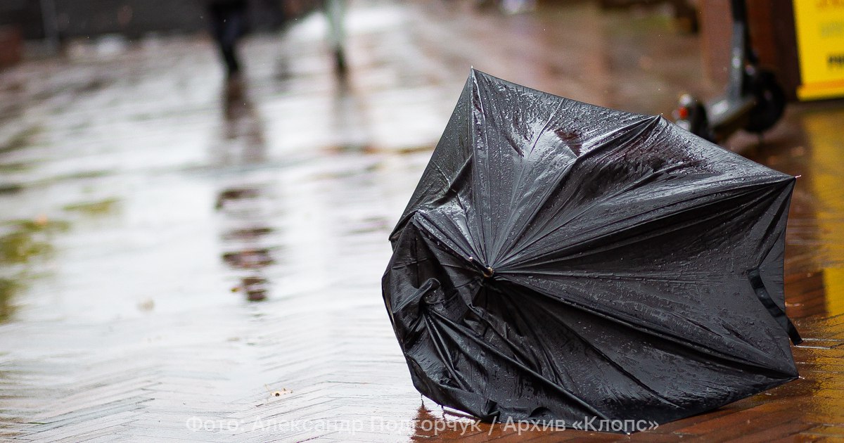 В Калининграде День народного единства погода отметит зарядами дождя