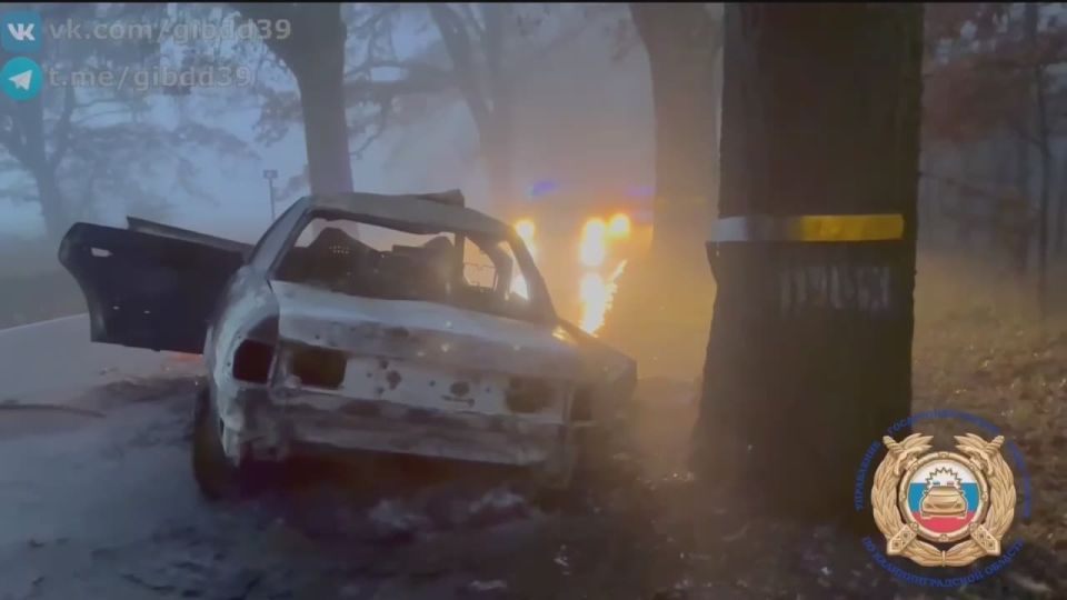 По предварительным данным, 03.11.2025 года в районе 5 часов 45 минут на 73 километре автодороги «Калининград -Крылово через Правдинск» водитель 2001 года рождения, управляя автомобилем «Ауди», на прямом участке дороги не...