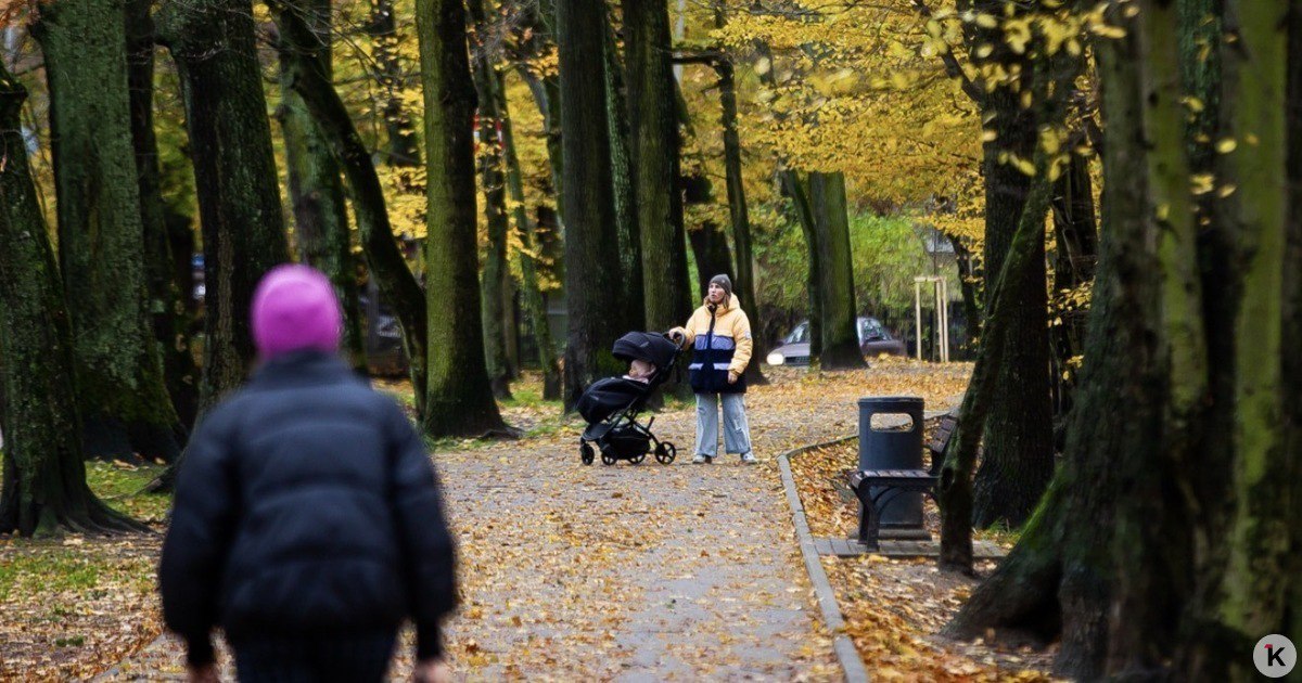 Погода в Калининграде и области в понедельник