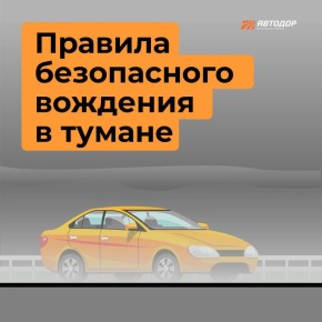 Туман выглядит красиво на фотографиях