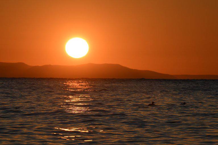 "Пишутся крупными мазками"