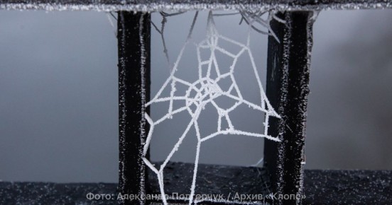 Синоптики рассказали, когда Калининградскую область окутает паутина холодов