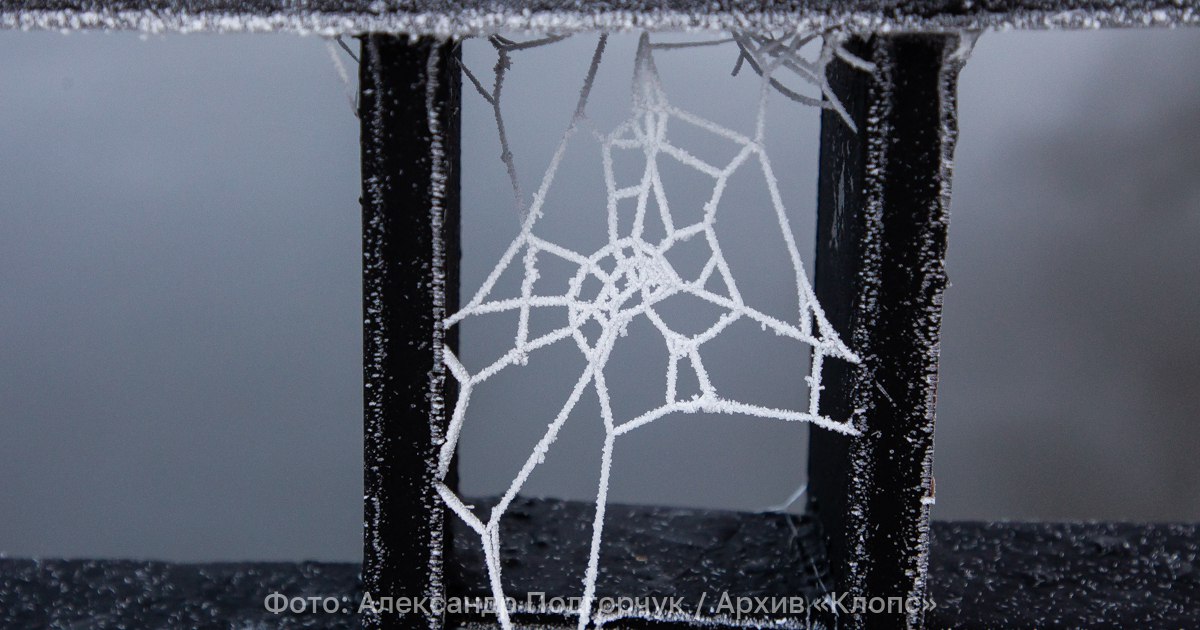 Синоптики рассказали, когда Калининградскую область окутает паутина холодов