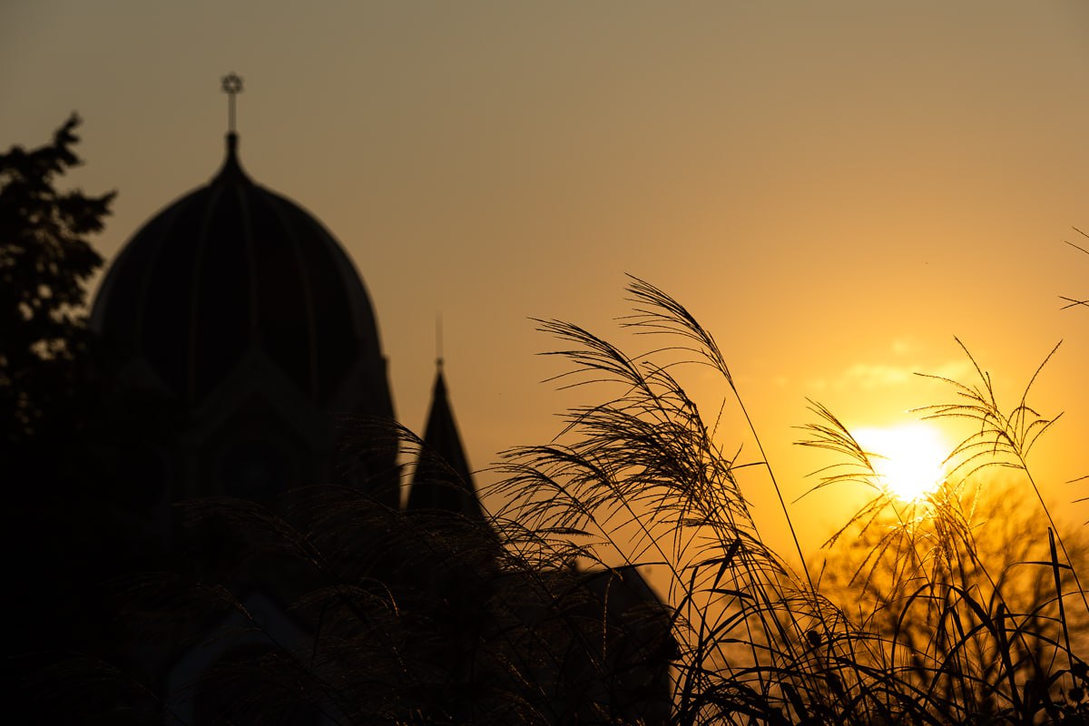 В Калининград придет африканская осень