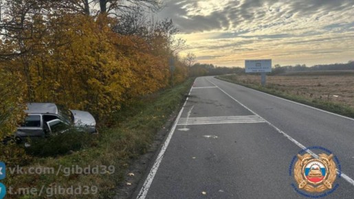 Пассажирка иномарки получили травмы в ДТП