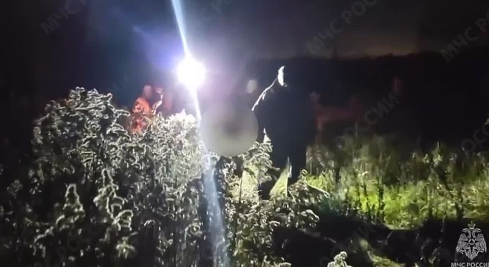 Волонтёры нашли пожилую женщину, потерявшуюся в лесу