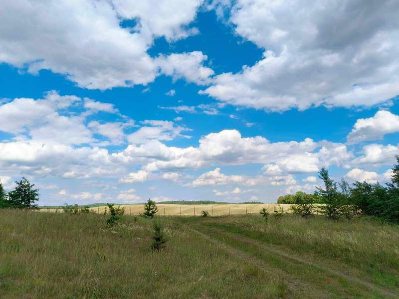 В Калининградской области уже озвучили пугающий прогноз на 2026 год