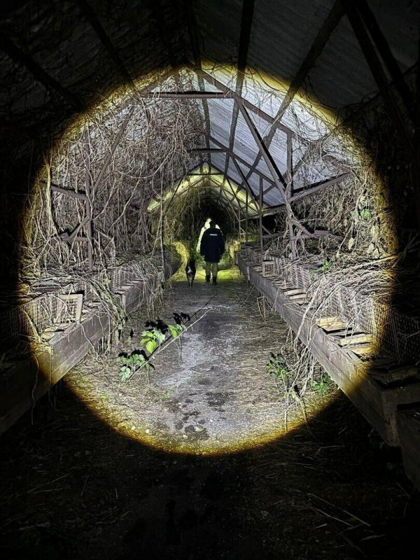 Найти пропавшую в Кострово старушку помог след от тапочек Найти пропавшую в Кострово старушку помог след от тапочек