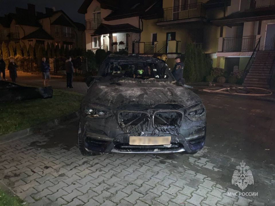 Сотрудники МЧС России спасли собаку на пожаре в Калининграде