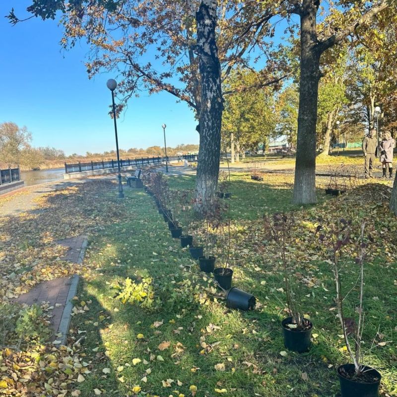 Провели работы по озеленению территории парка на набережной в Полесске