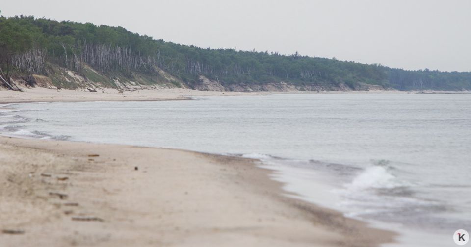 Куршская коса рискует превратиться в калининградскую Рублёвку для избранных — калининградский биолог