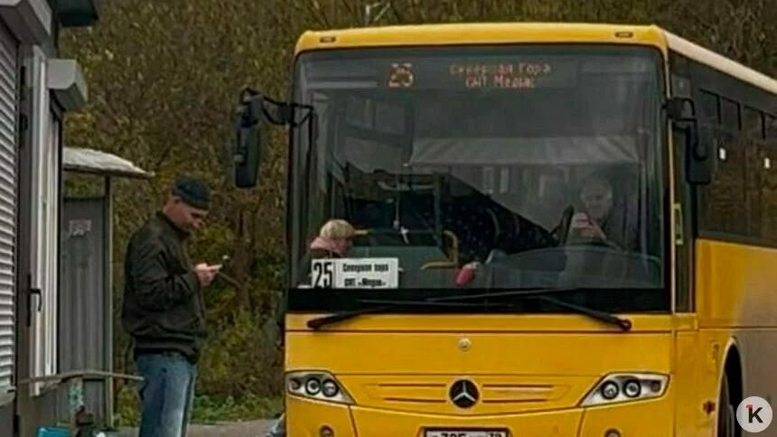 Калининградка заявила, что её 10-летнего сына грубо высадили из автобуса, перевозчик всё отрицает