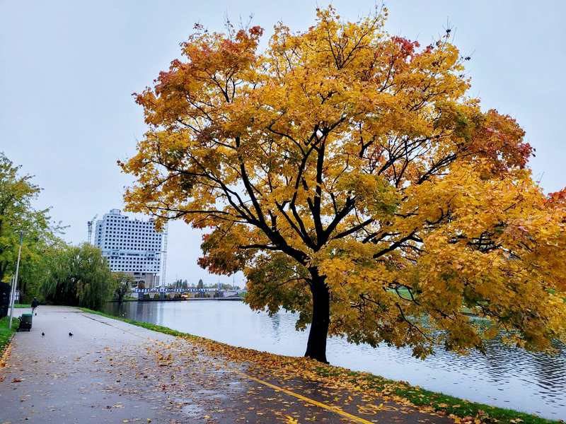 В Калининграде определена погода кратчайшей недели ноября