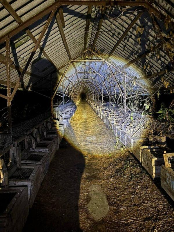 Найти пропавшую в Кострово старушку помог след от тапочек