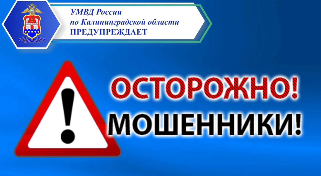 Онлайн-покупка иномарки обернулась для калининградки потерей более 2 миллионов рублей
