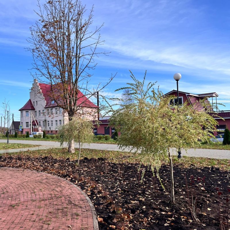 Провели работы по озеленению территории парка на набережной в Полесске Провели работы по озеленению территории парка на набережной в Полесске