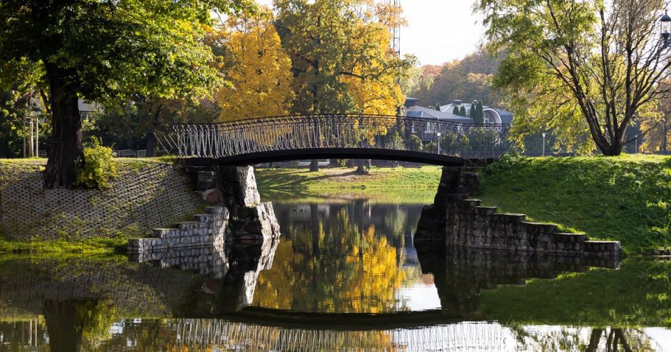 Главное — сухо: синоптики рассказали о погоде в Калининградской области 5 ноября