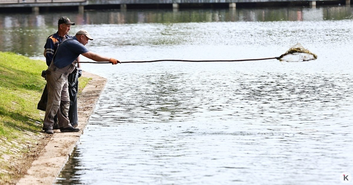 В Калининградской области минприроды борется с незаконными сбросами и готовит водные объекты к расчисткам