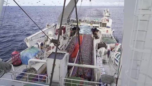 Российские рыбаки освоили свыше 4,1 млн тонн водных биоресурсов