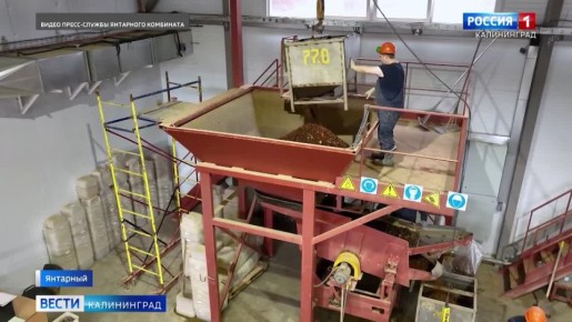 Калининградский янтарный комбинат добыл с начала года 700 тонн балтийского самоцвета