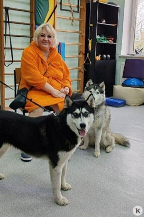 «Она так всем доверяла»: калининградка пытается найти виновных в гибели собаки — помощника канистерапевта