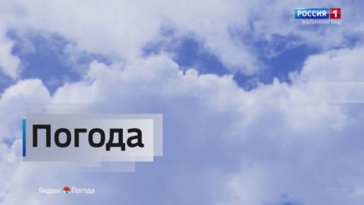 Погода на 6 ноября