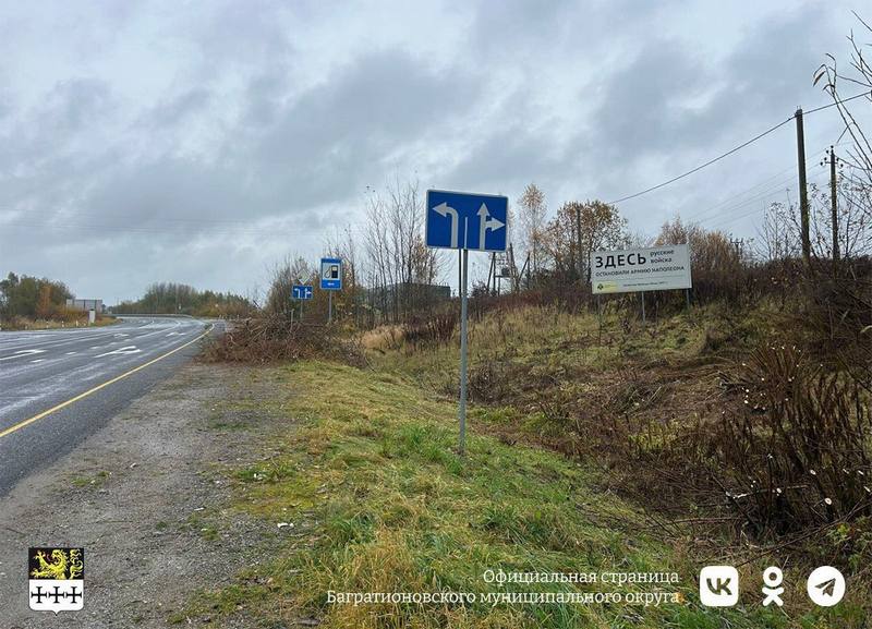 Власти Багратионовска послали мальчика с цепной пилой на расчистку знака Власти Багратионовска послали мальчика с цепной пилой на расчистку знака