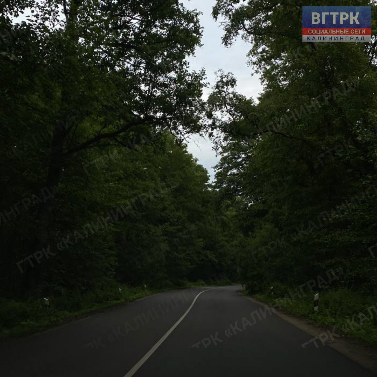 Сегодня свой День рождения отмечает национальный парк «Куршская коса» Сегодня свой День рождения отмечает национальный парк «Куршская коса»