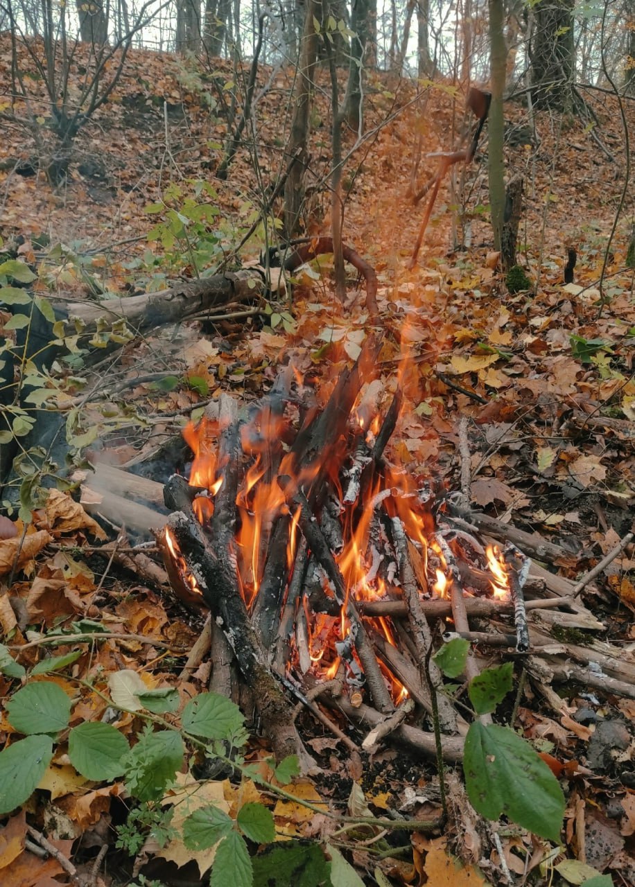 Под Багратионовском нашли место падения штурмовика Ил-2, сбитого в 1945 году Под Багратионовском нашли место падения штурмовика Ил-2, сбитого в 1945 году