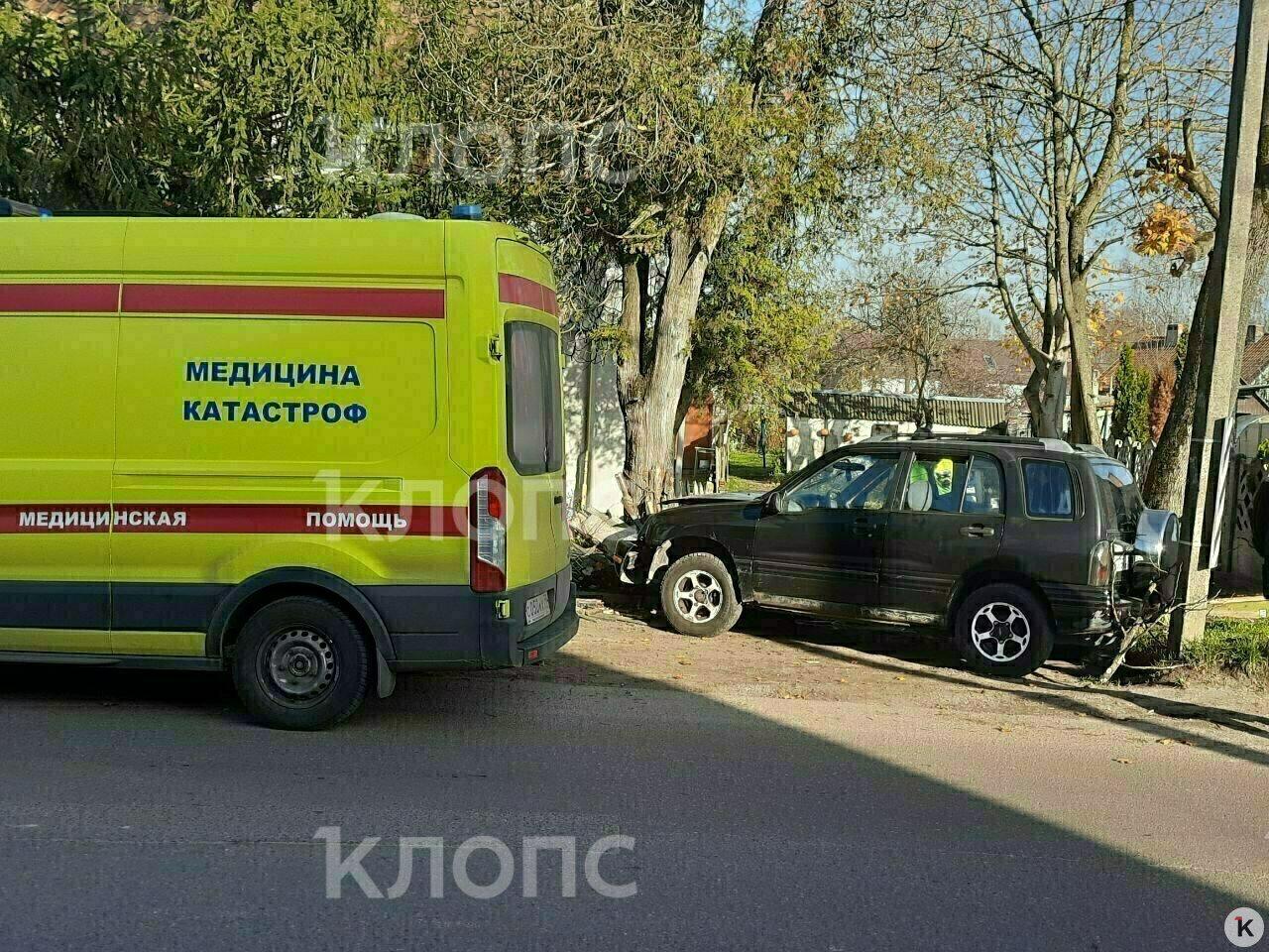 На Тенистой Аллее машина влетела в дерево, пассажир разбил лицо о стекло На Тенистой Аллее машина влетела в дерево, пассажир разбил лицо о стекло