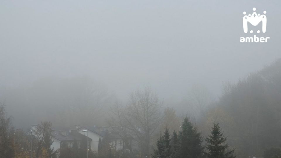 Туман приплыл в Калининград и область, чтобы сказать доброе утро