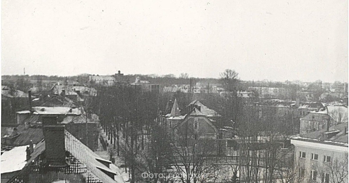 В госархиве показали, как выглядел вид на улицу Чайковского во второй половине 1980-х